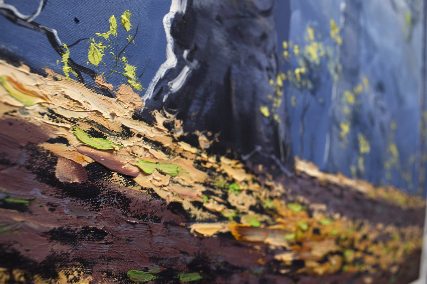 Forest trees in Sunlight by Graham Gercken