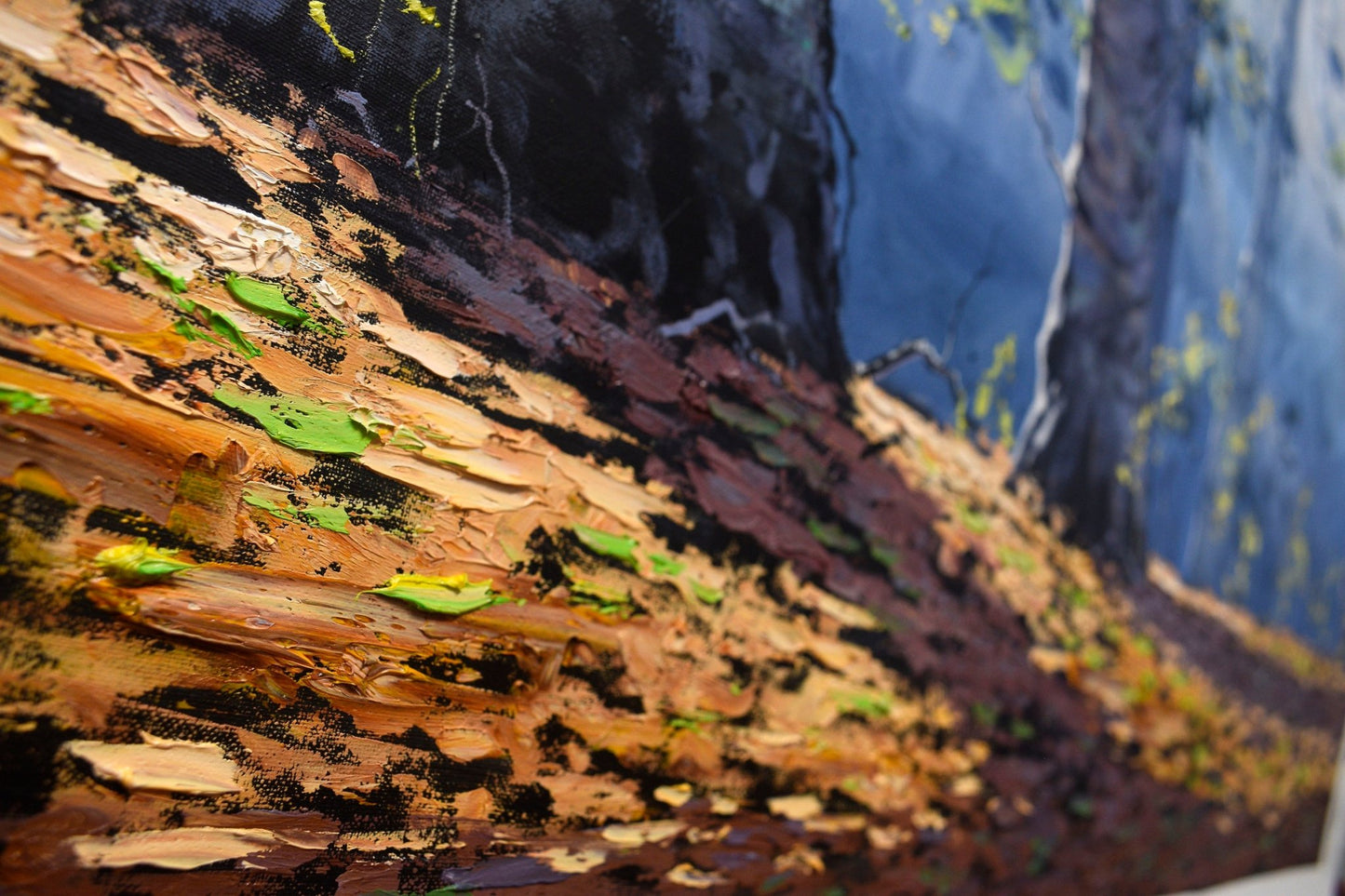 Forest trees in Sunlight by Graham Gercken