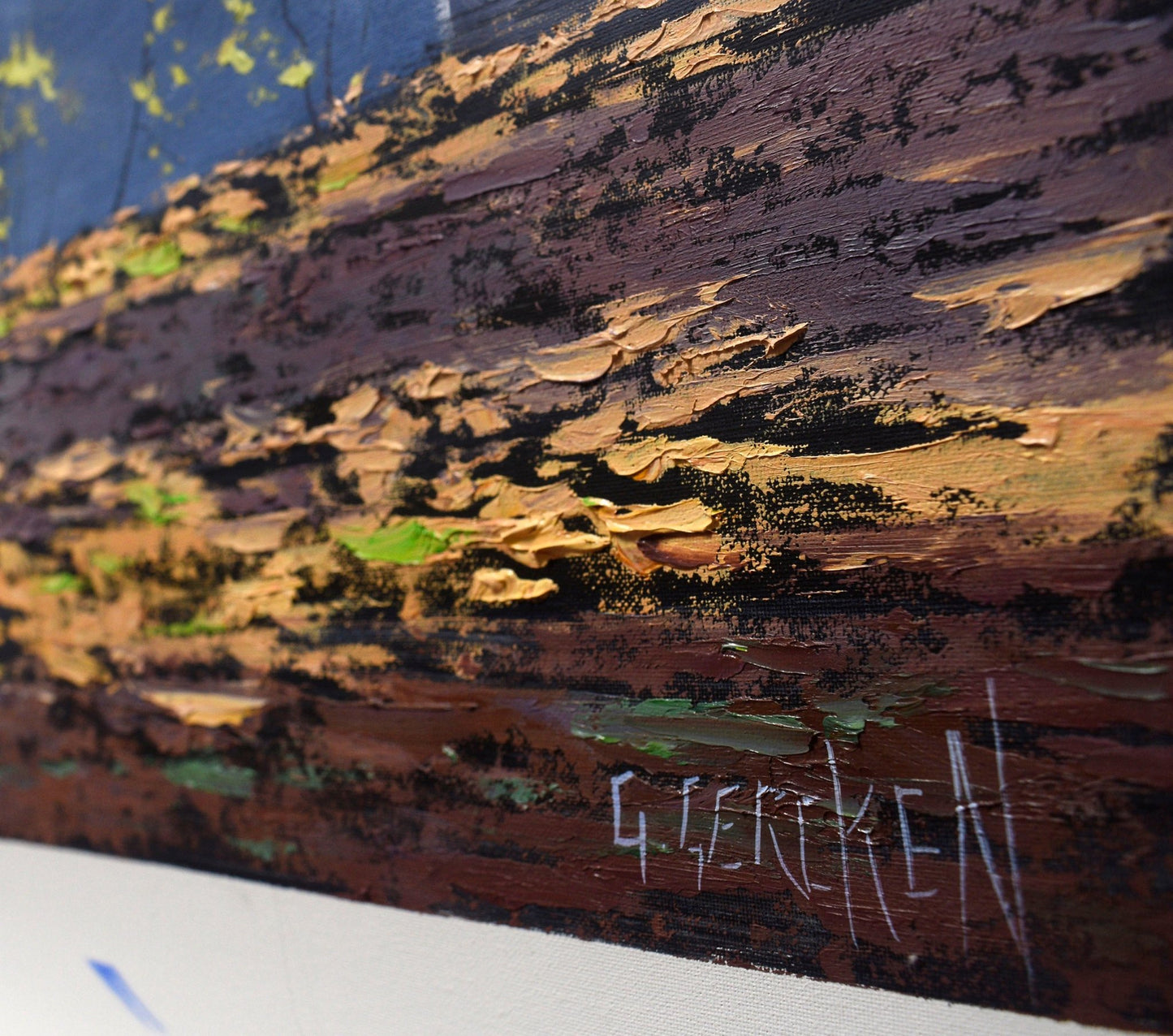 Forest trees in Sunlight by Graham Gercken