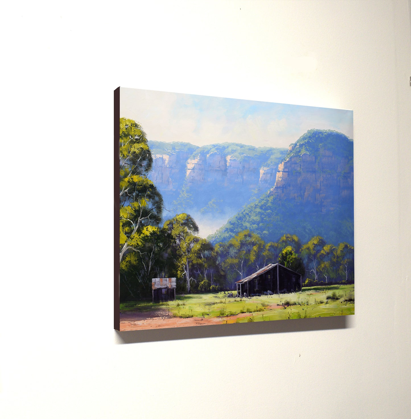 Stunning Valley scene from the Blue Mountains Original Painting