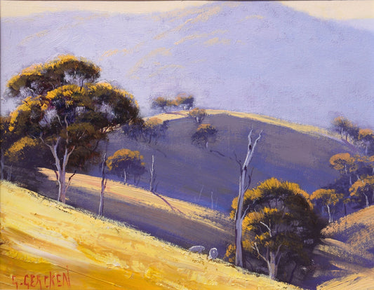 Framed Australian landscape Painting