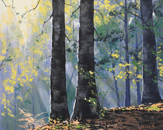 Forest trees Original Oil Painting Ready to hang By G. Gercken