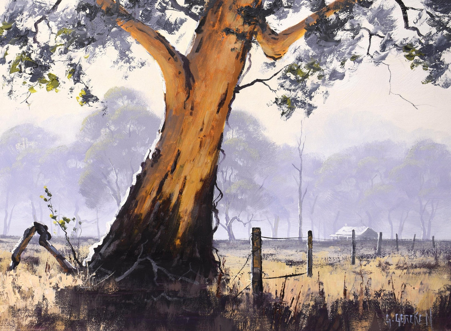 Gum tree in morning Sun Oil Painting