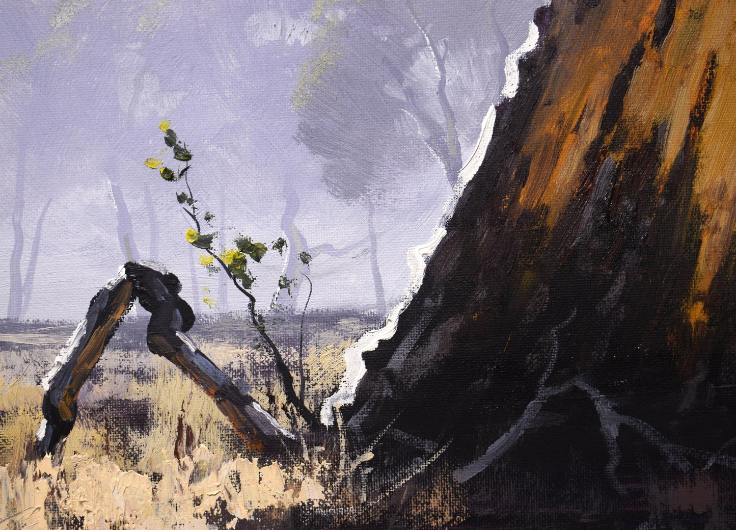 Gum tree in morning Sun Oil Painting