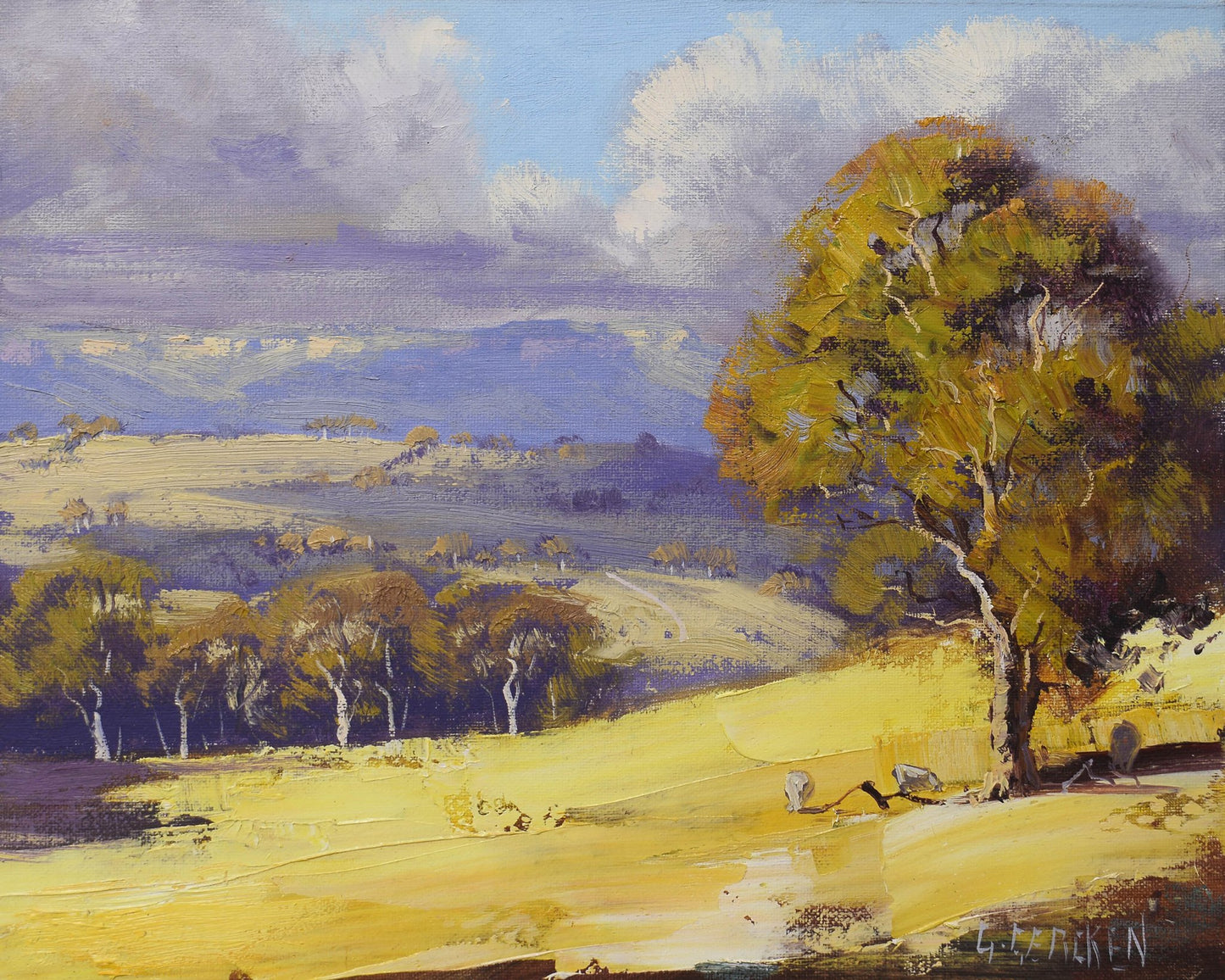 Framed Original Oil Panting  Australian Hilly Landscape