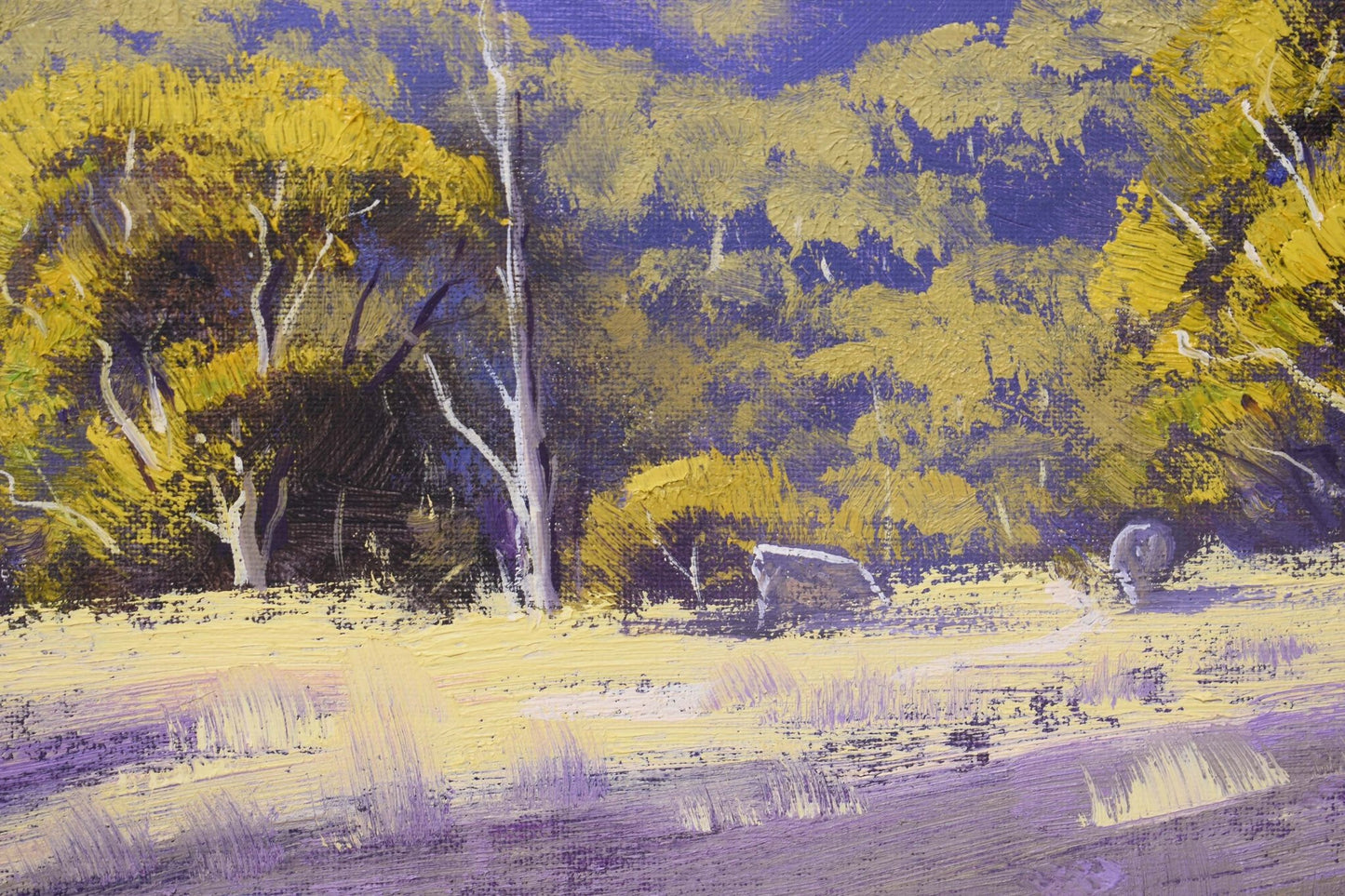 Australian Landscape Painting Wolgan Valley