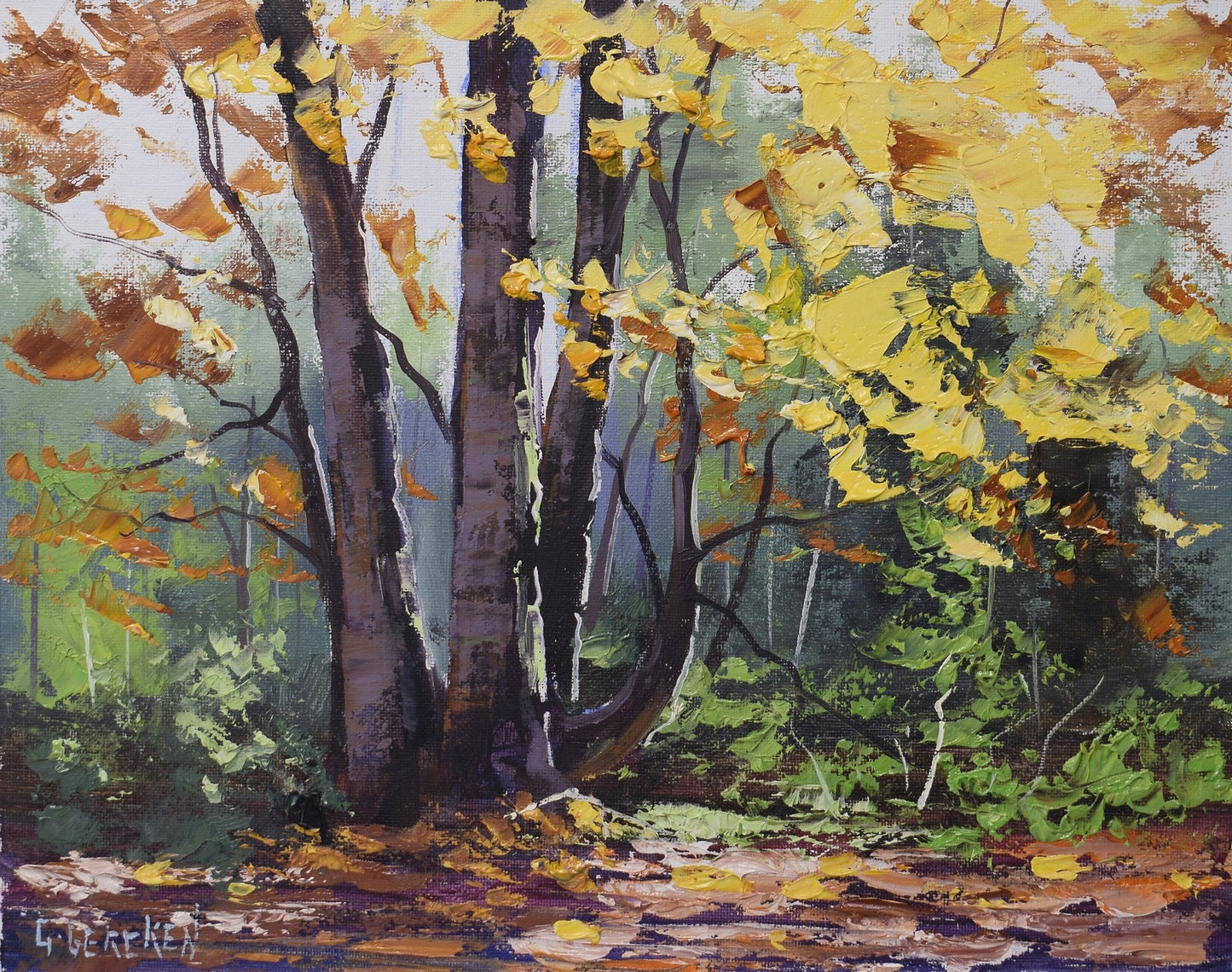 Autumn Trees Framed Original painting by Graham Gercken