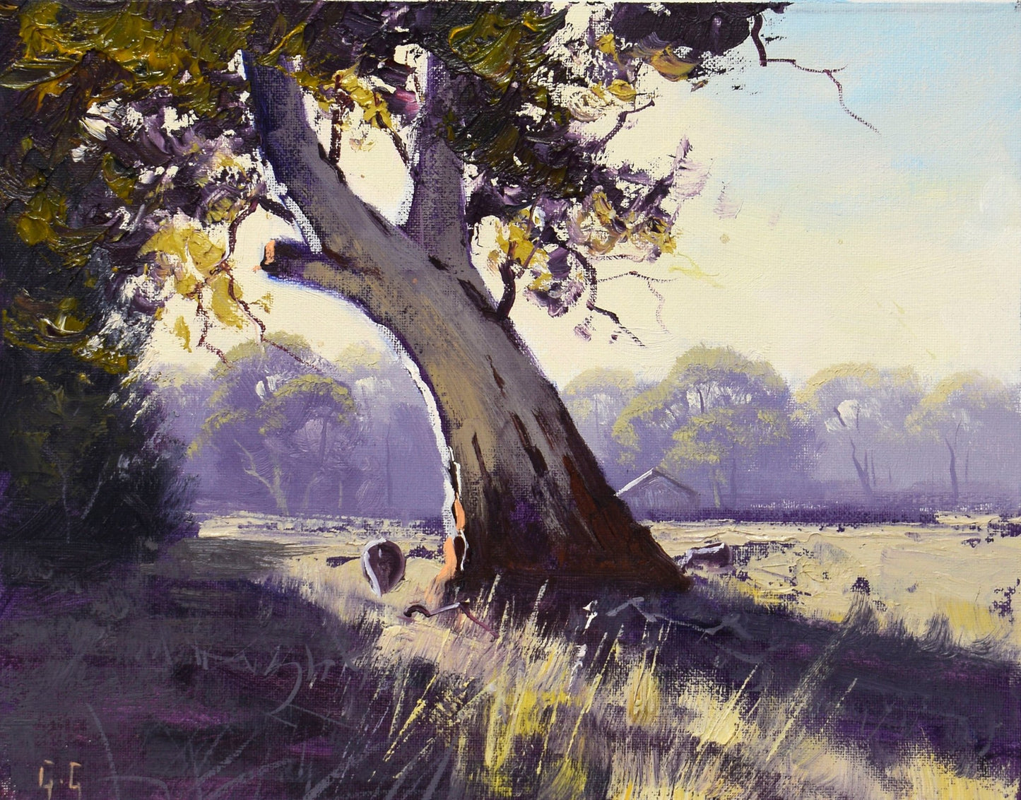 Australian Landscape Painting, Gum tree with sheep Victoria