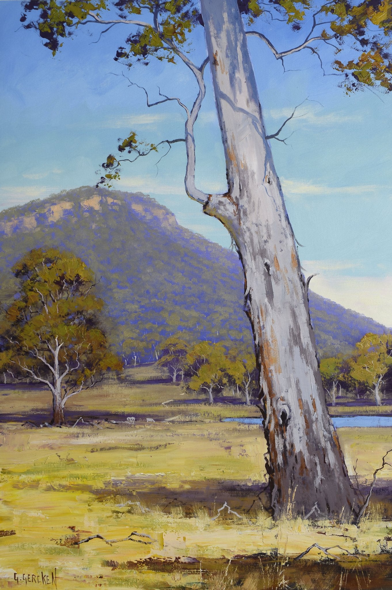 Large Australian Landscape Painting Hartley Gum tree