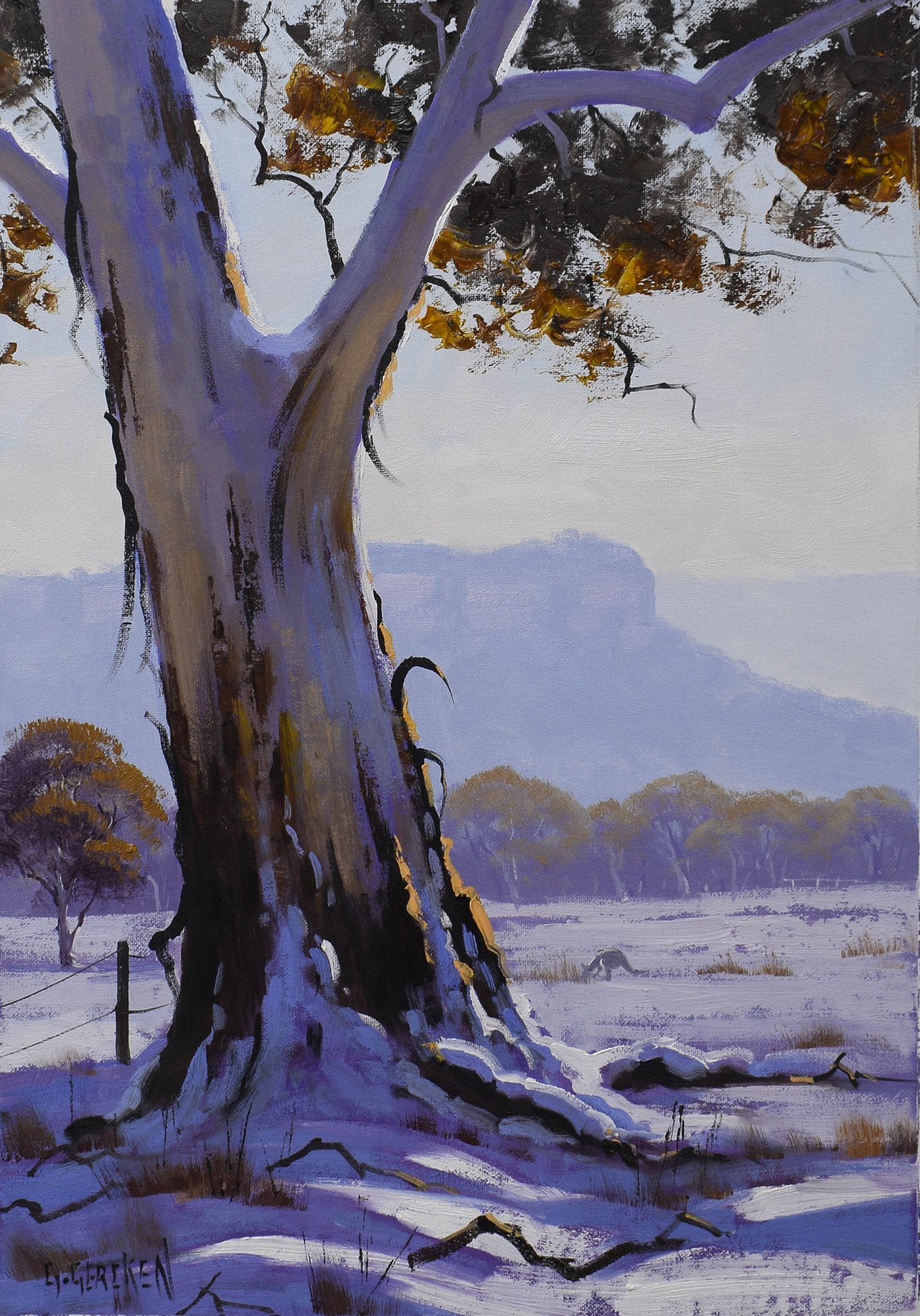 Winter snow Gum Tree by Graham Gercken