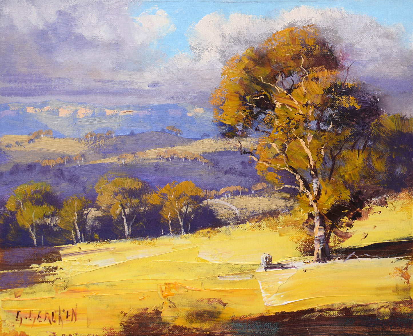 Mudgee Landscape with Gum Trees