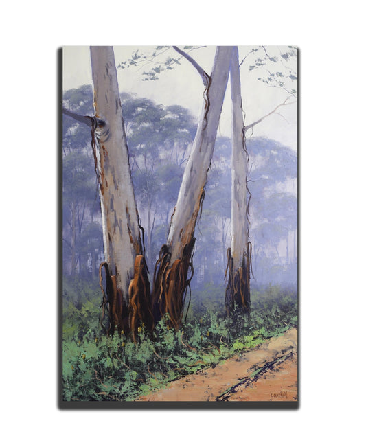 Large Gum trees Original Oil painting