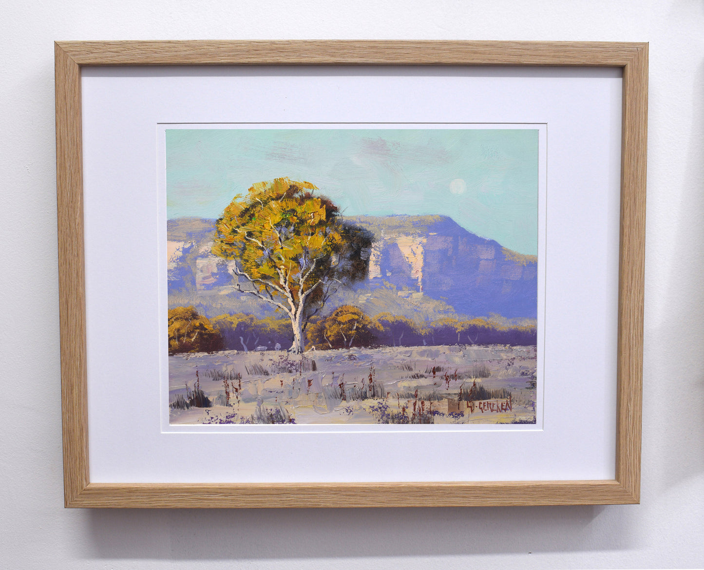 Capertee Landscape Framed oil painting