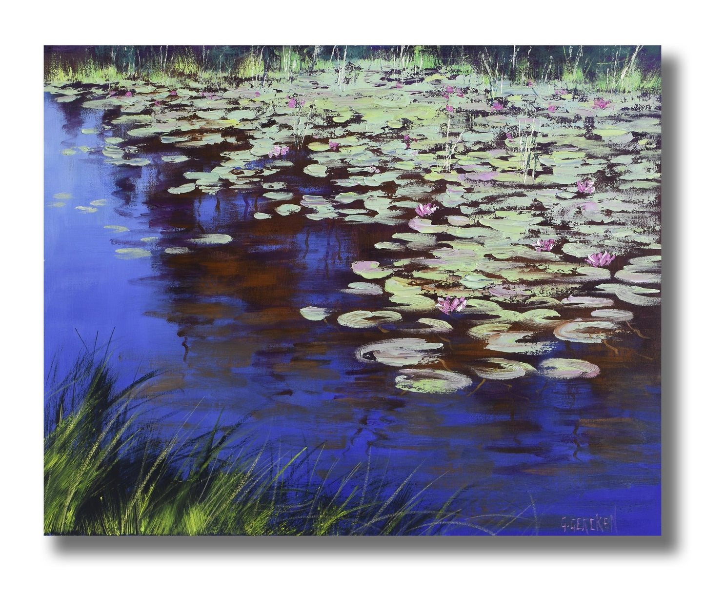 Lily Pond painting by Graham Gercken