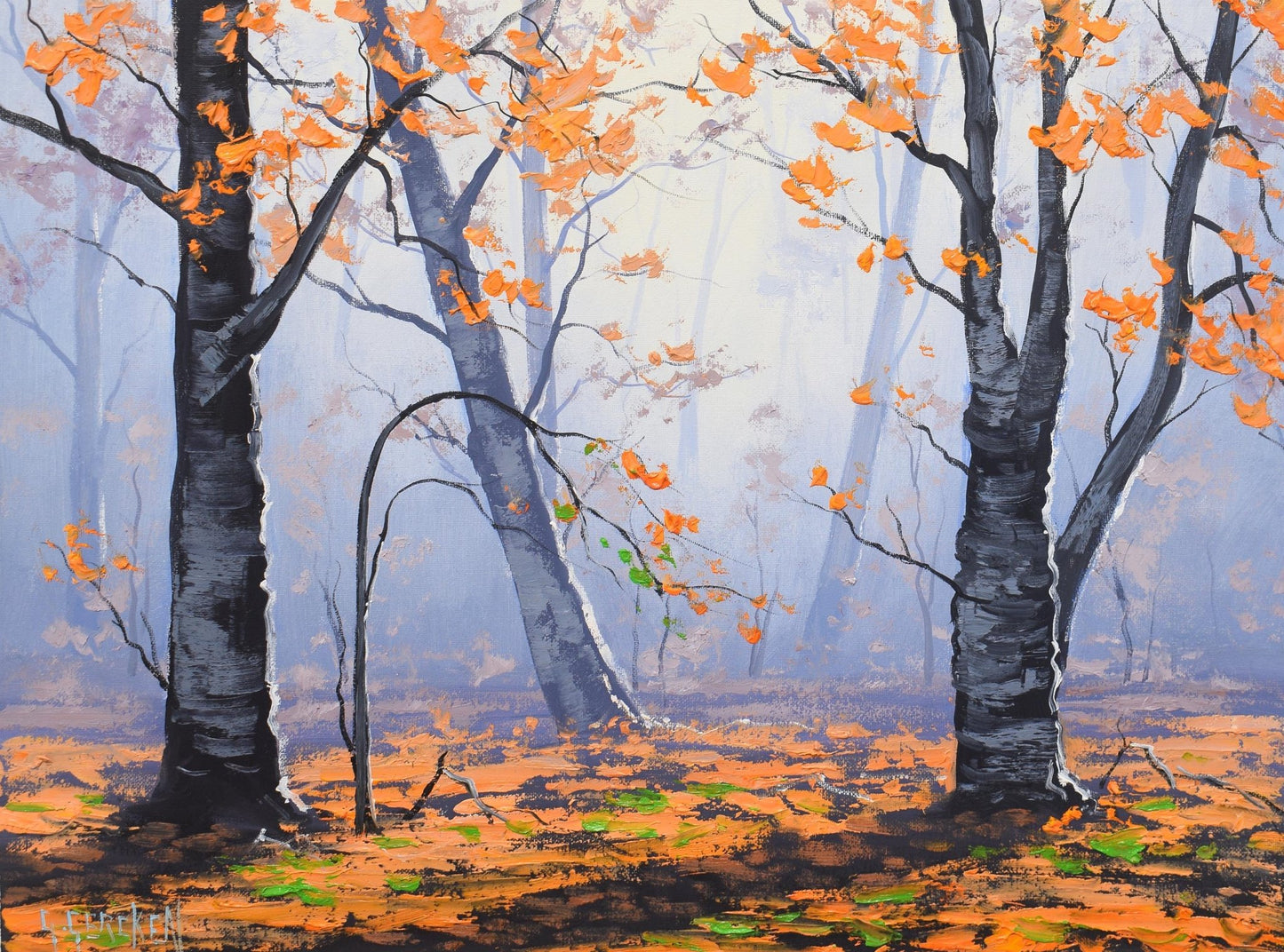 Autumn Forest trees landscape