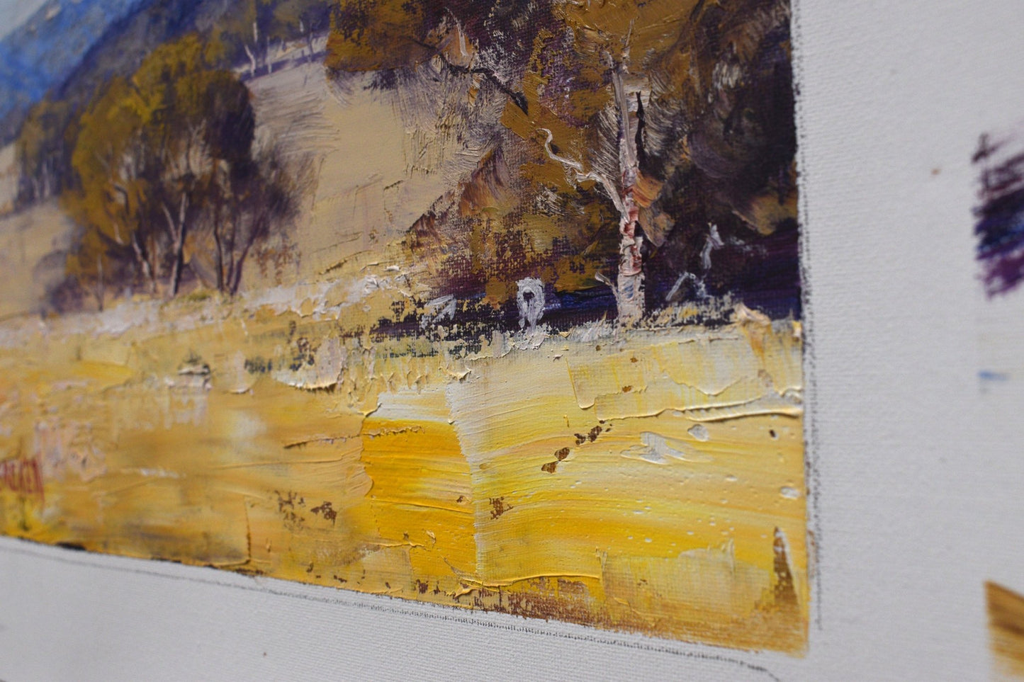 Framed Original Oil Panting  Australian Summer Landscape Capertee Valley