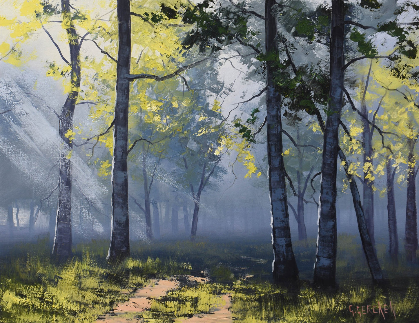 Captivating Green Forest Trees and Sunrays: Original Oil Painting by Artist Graham Gercken