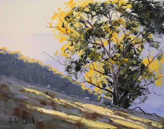 Framed Australian Landscape Sunlight and Gum trees Oil Painting