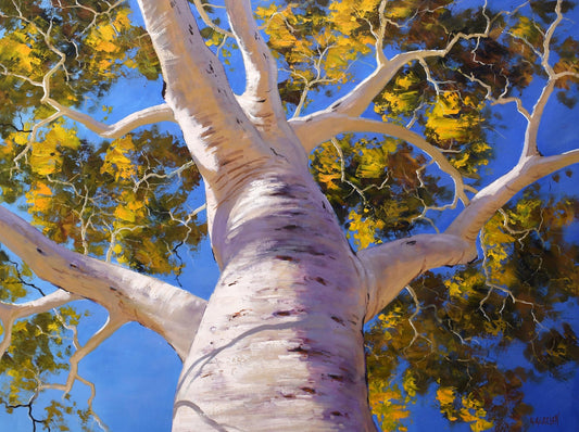 Large Australian Gum Tree Painting
