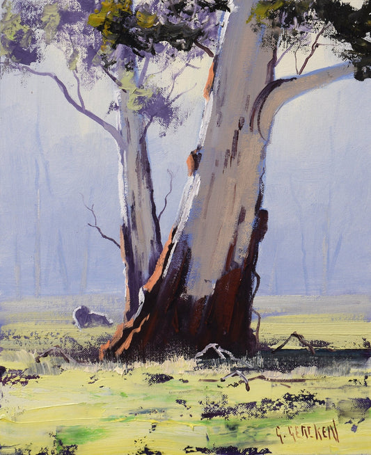 Australian Gumtrees original oil painting By Graham Gercken