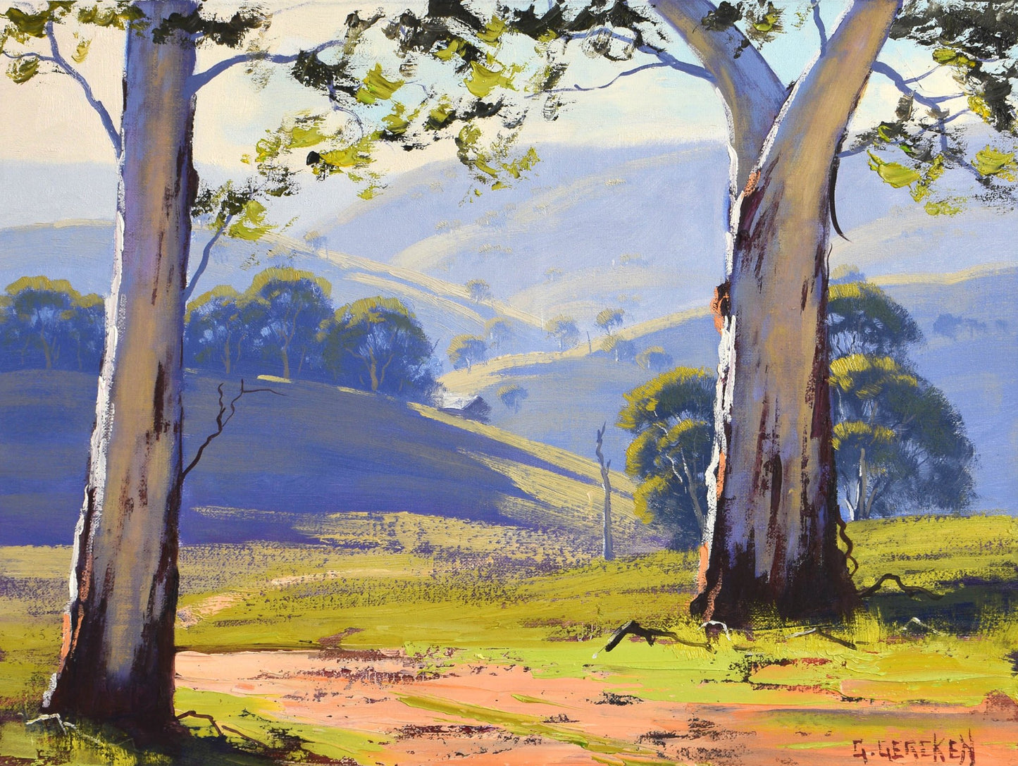 Australian landscape with Gum Trees
