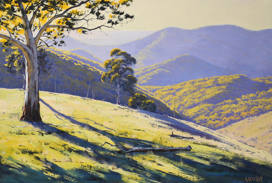 large-australian-landscape-painting