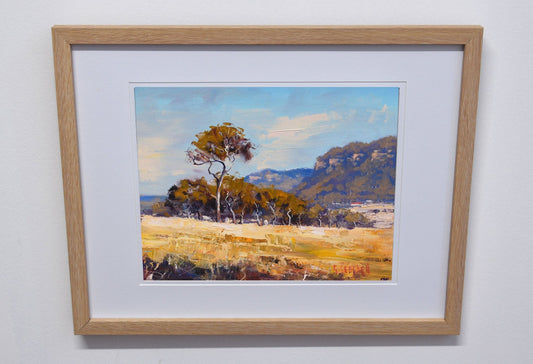 Framed Original Oil Panting  Australian Summer Landscape